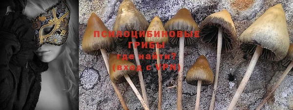 apvp Верея