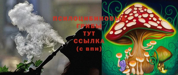 apvp Верея