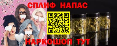 эйфоретик Кингисепп